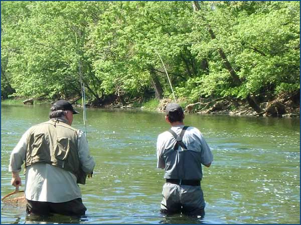 streamer caught trout on Brookville tailwater